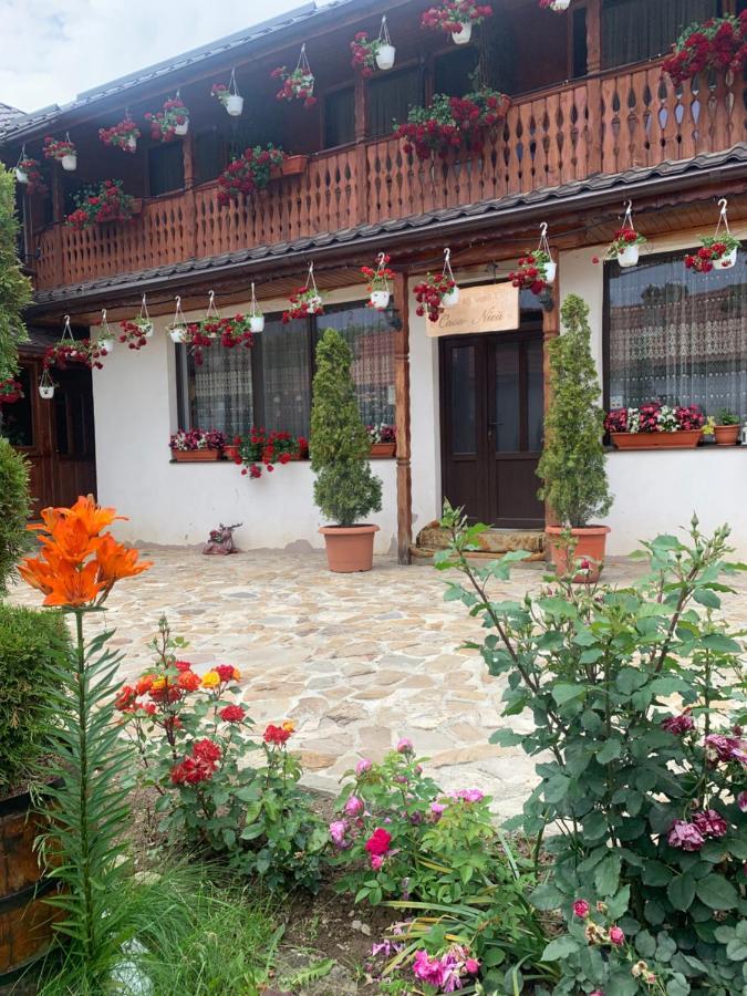 Agropensiunea Casa Nica Margineni  Exteriér fotografie