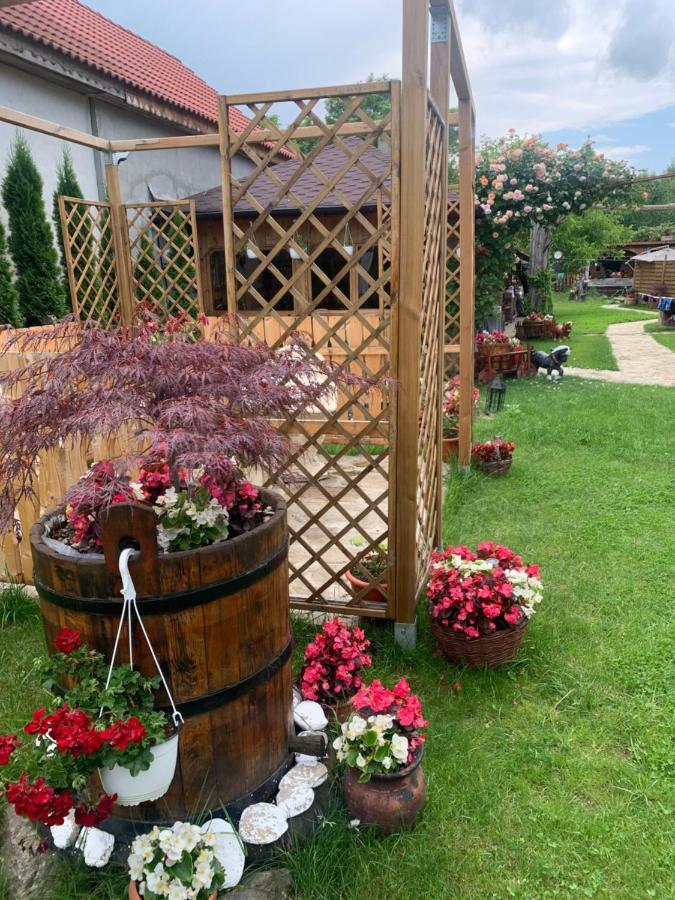 Agropensiunea Casa Nica Margineni  Exteriér fotografie