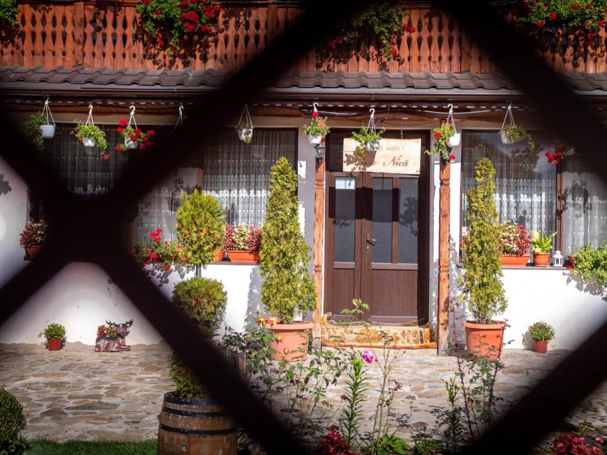 Agropensiunea Casa Nica Margineni  Exteriér fotografie
