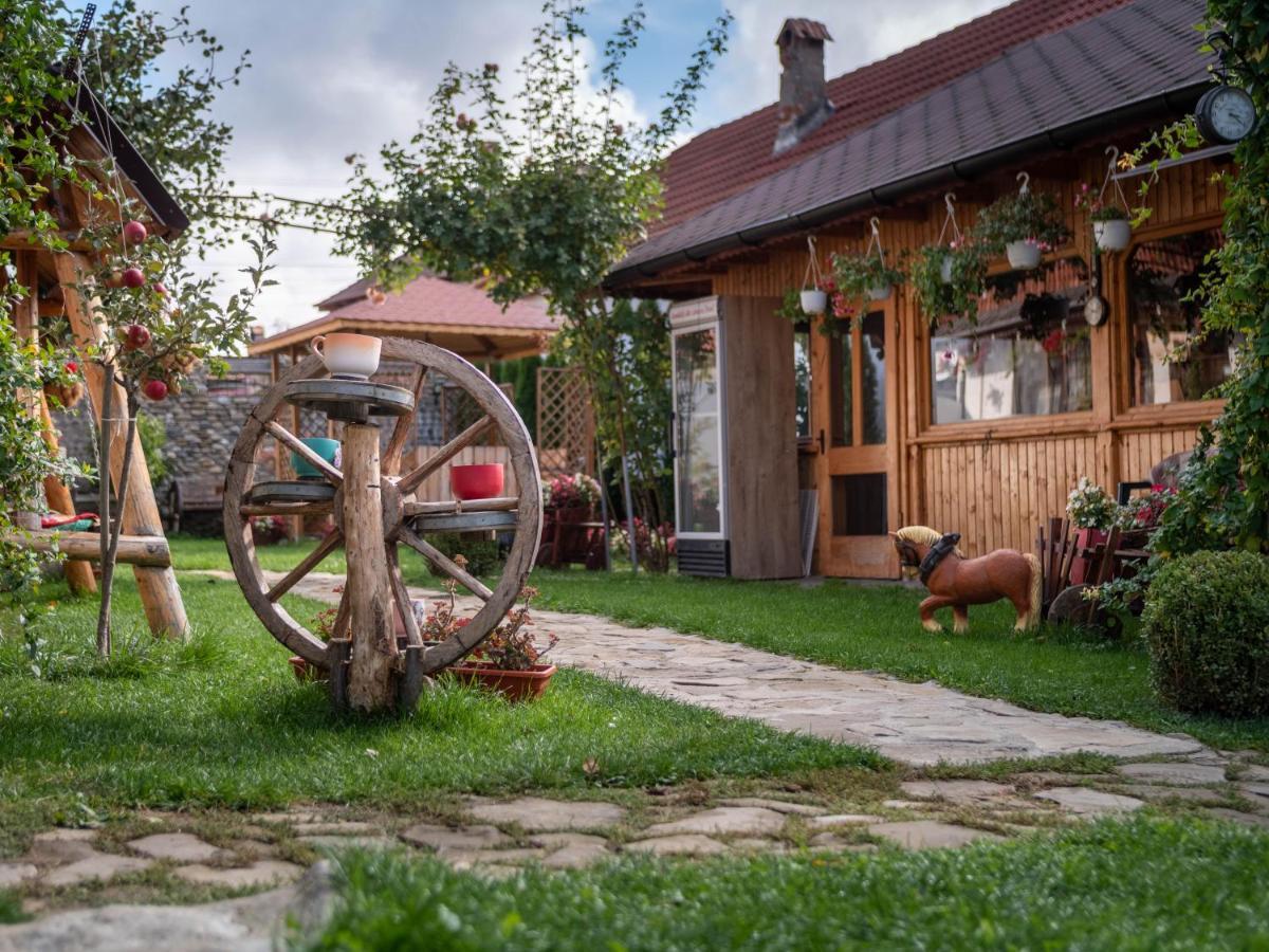Agropensiunea Casa Nica Margineni  Exteriér fotografie