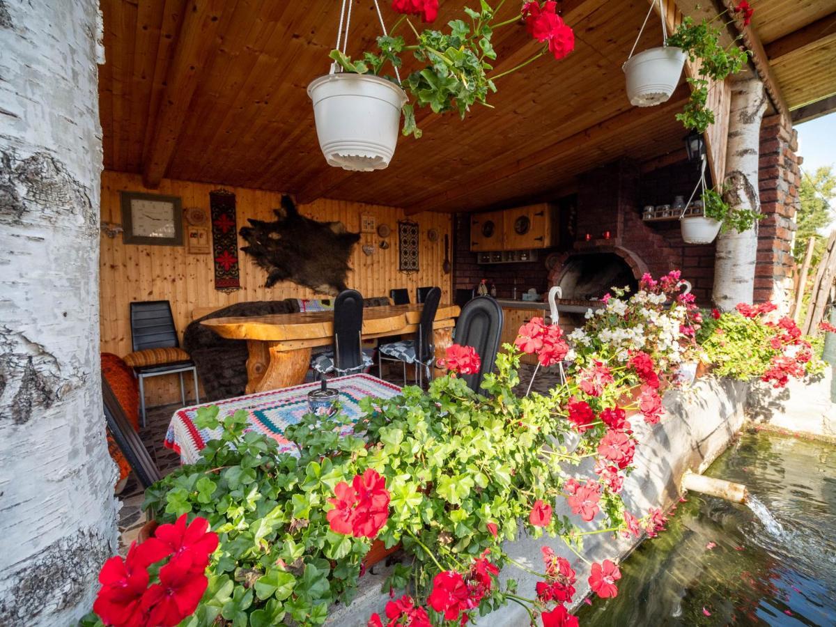 Agropensiunea Casa Nica Margineni  Exteriér fotografie