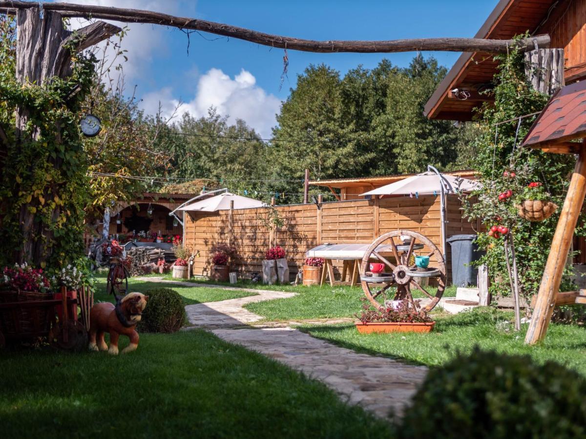 Agropensiunea Casa Nica Margineni  Exteriér fotografie