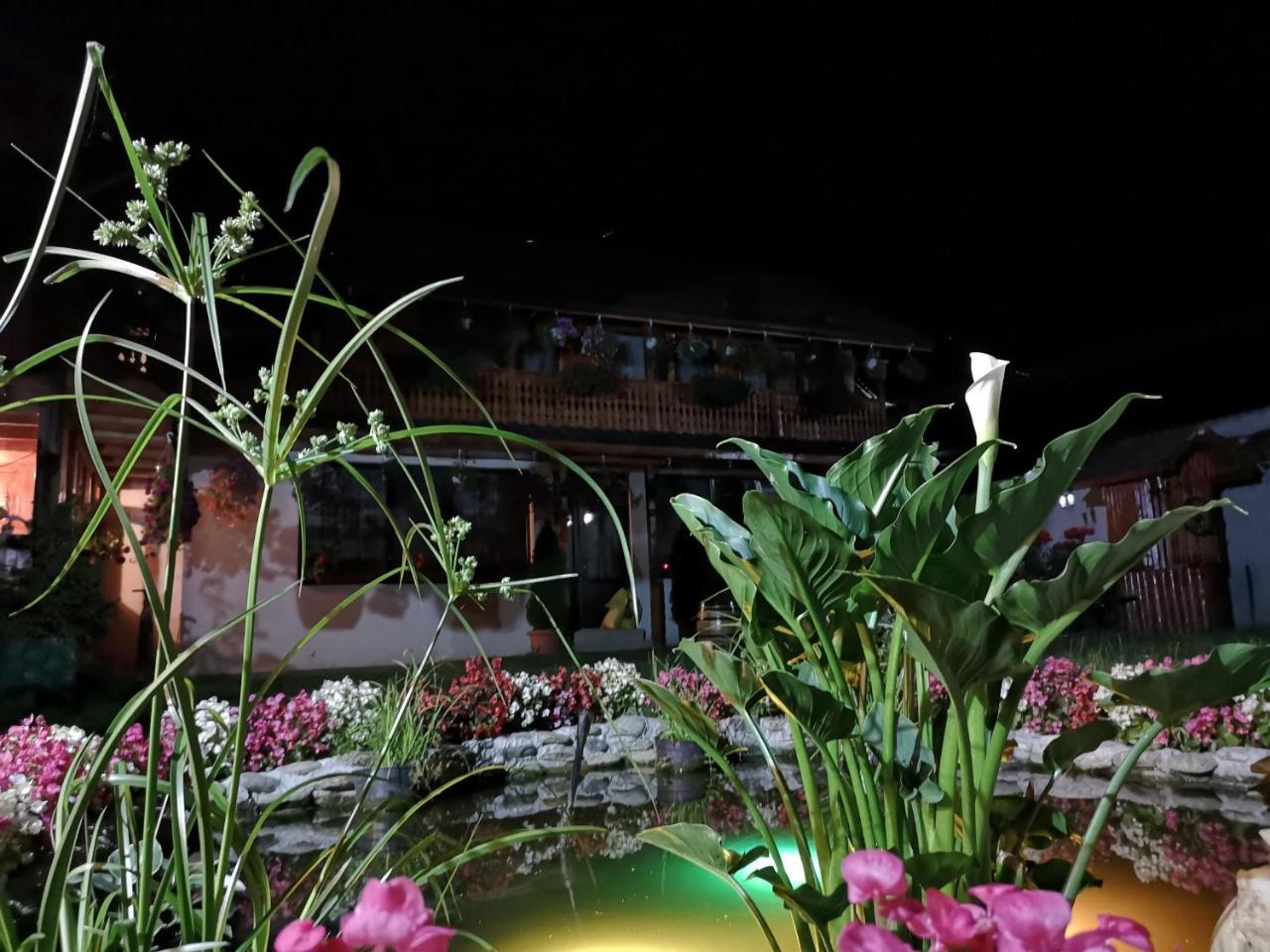 Agropensiunea Casa Nica Margineni  Exteriér fotografie